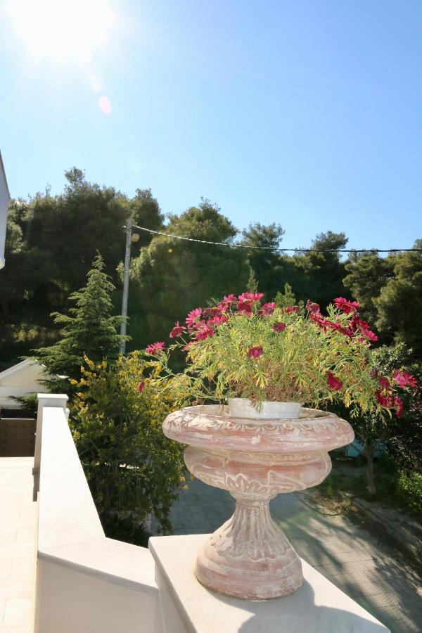 Villa Ariadne Athena Bagian luar foto